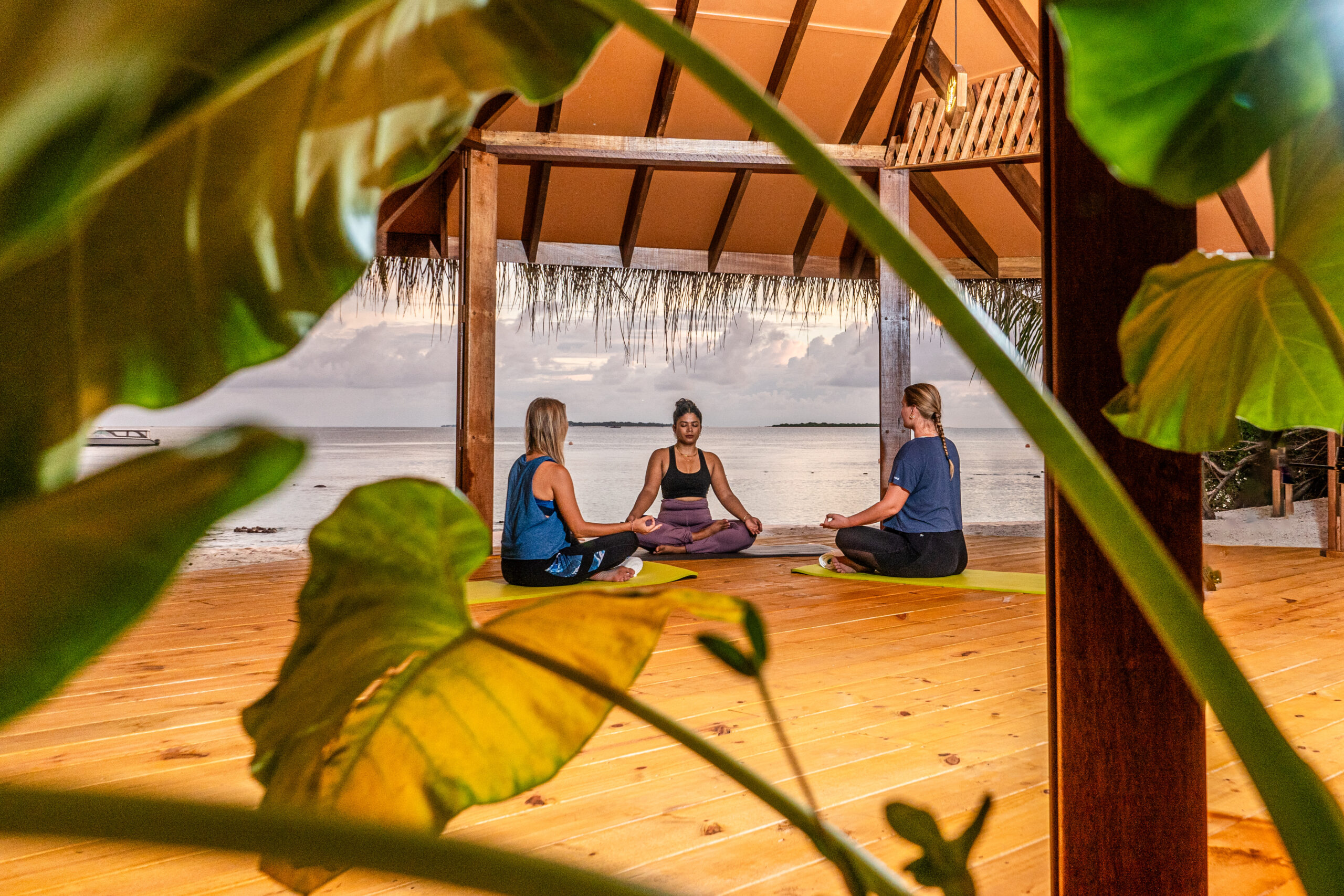 Group Yoga