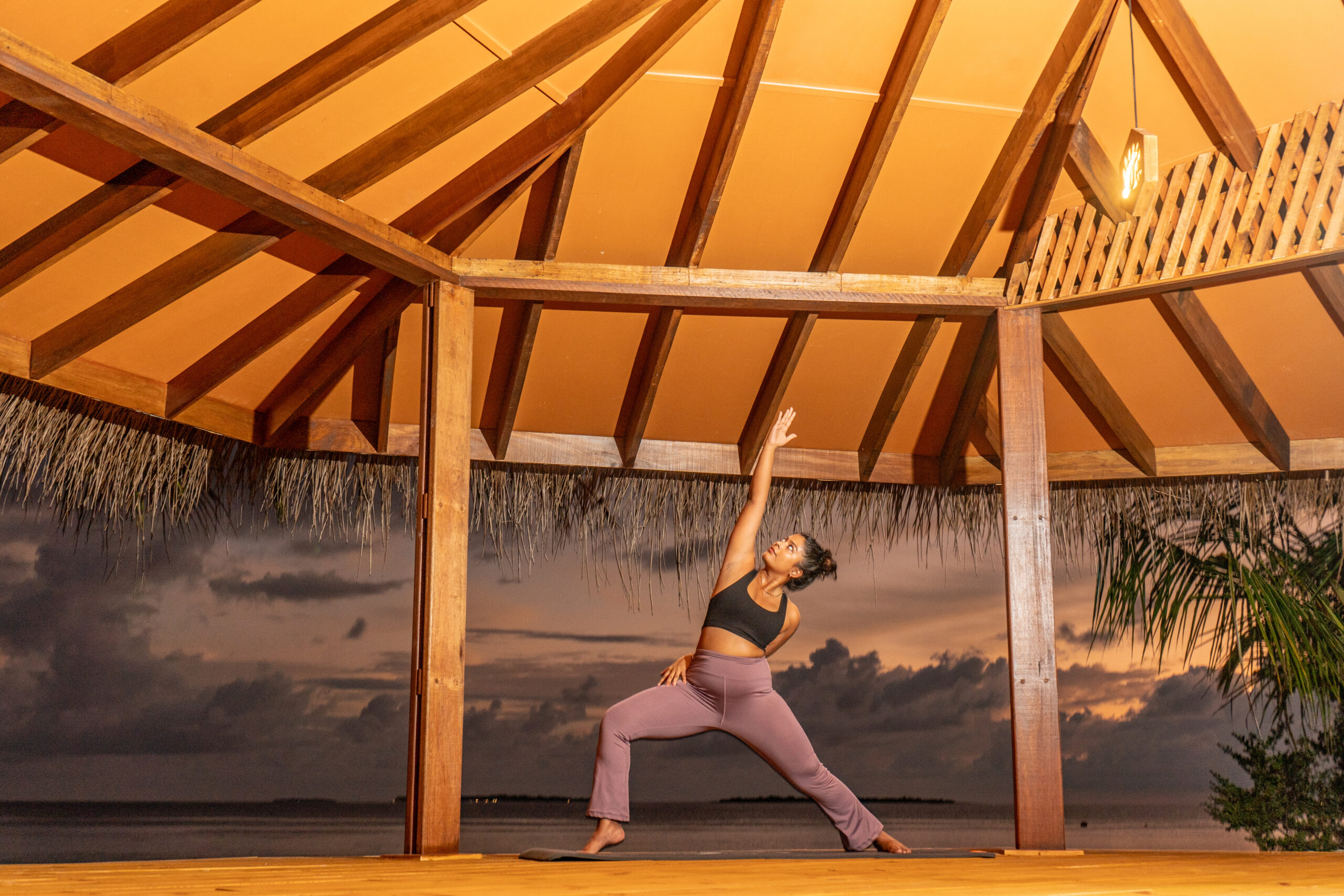 Virtual Yoga Program