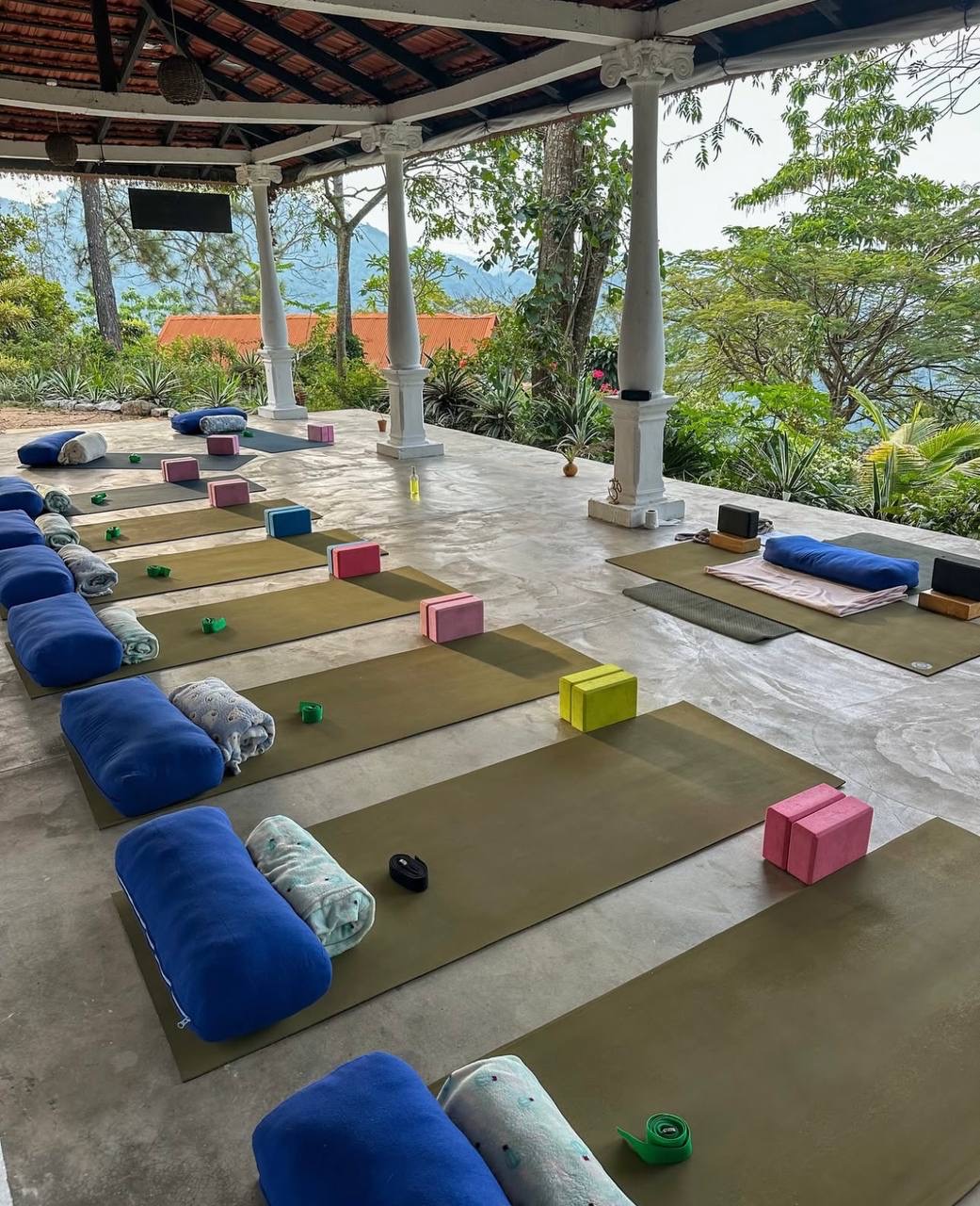 Wellness Practices