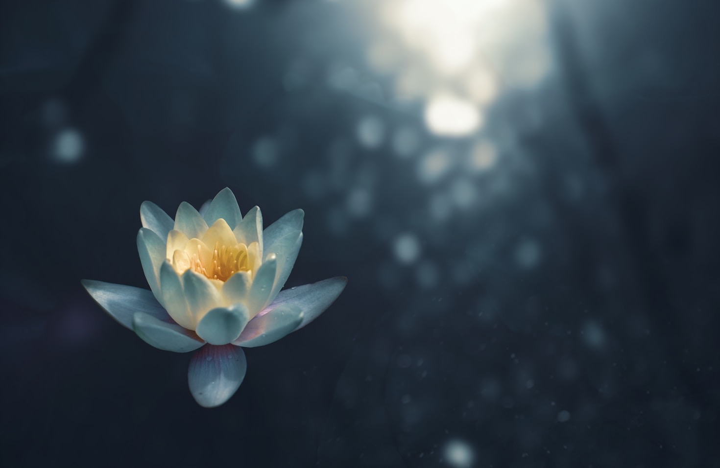 The Healing Power Of Sound Baths